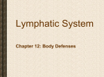 Lymphatic System