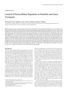 Control of Extracellular Dopamine at Dendrite and Axon Terminals