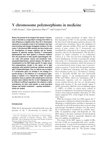Y chromosome polymorphisms in medicine