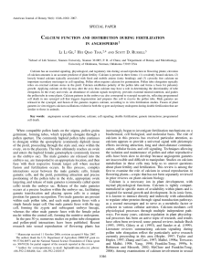 special paper calcium function and distribution during fertilization in