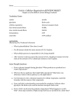 Cellular Respiration REVIEW SHEET