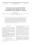 Full text in pdf format