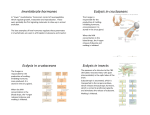 Invertebrate hormones - Orange Coast College