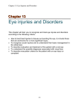 Chapter 13: Eye Injuries and Disorders