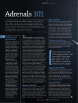 Adrenals 101 - Tara Thorne Nutrition