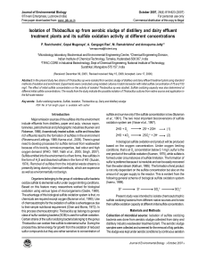 Isolation of Thiobacillus sp from aerobic sludge of distillery and dairy