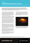 Tracking endocytosis dynamics over time