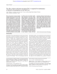 The Hox cofactor and proto-oncogene Pbx1 is