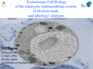 Evolutionary Cell Biology of the eukaryotic endomembrane system