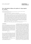 Can a few fanatics influence the opinion of a large segment of a