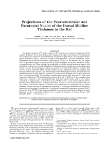 Projections of the paraventricular and paratenial nuclei