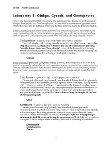 Laboratory 8: Ginkgo, Cycads, and Gnetophytes