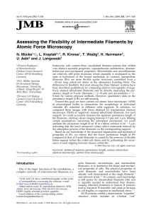 Assessing the Flexibility of Intermediate Filaments by Atomic Force