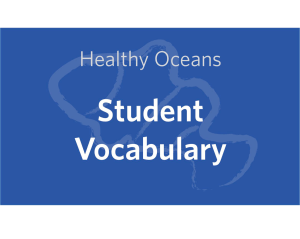 and print student vocabulary handouts