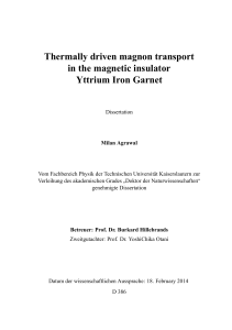 Thermally driven magnon transport in the magnetic insulator Yttrium