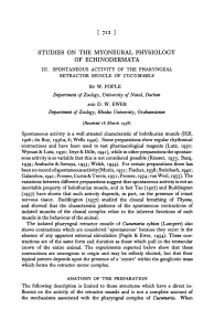 studies on the myoneural physiology of echinodermata