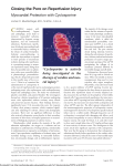 Closing the Pore on Reperfusion InjuryMyocardial