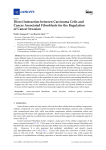 Direct Interaction between Carcinoma Cells and Cancer Associated