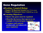 Gene Regulation - public.iastate.edu