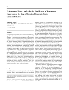 Evolutionary History and Adaptive Significance of Respiratory