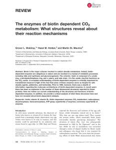 The enzymes of biotin dependent CO2 metabolism: What structures