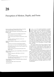Perception of Motion, Depth, and Form