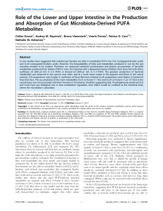 Role of the Lower and Upper Intestine in the Production and