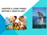 Chapter 2: Living Things Section 1: What is life?