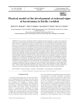 Physical model of the development of external signs of barotrauma