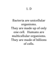 1. D Bacteria are unicellular organisms. They are made up of only