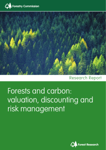 Forests and carbon: valuation, discounting and risk management