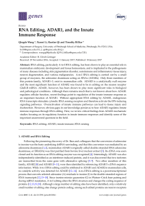 RNA Editing, ADAR1, and the Innate Immune Response