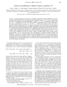 Biochemistry 1997 Baird