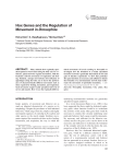 Hox genes and the regulation of movement in Drosophila