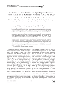 Construction and Characterization of a Highly Regulable Expression