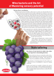 Lallemand bacteria and wine sensory profile