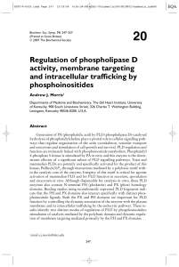 Regulation of phospholipase D activity, membrane targeting and