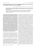 J Biol Chem, v 275, pp 12237-12242