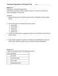 Spinal Cord Worksheet - District 196 e