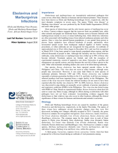 Ebolavirus and Marburgvirus Infections