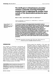 The dnrM gene in Streptomyces peucetius contains a