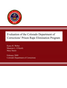 Evaluation of the Colorado Department of Corrections` Prison Rape