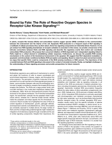 Bound by Fate: The Role of Reactive Oxygen