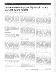 Disseminated ldiopathic Myositis in Young Marshall Farms Ferrets