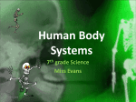 Human Body Systems