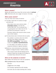 Anemia - nicu-pet