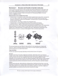 Worksheet 4 Structure and function of protein molecules qa chi