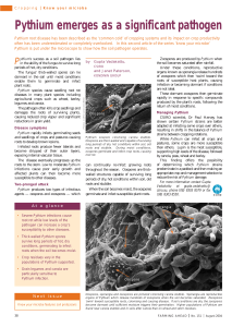 Pythium emerges as a significant pathogen