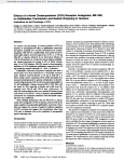 Effects of a Novel Cholecystokinin (CCK)