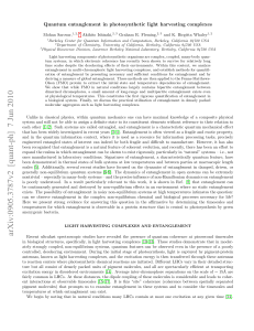 Quantum entanglement in photosynthetic light harvesting complexes